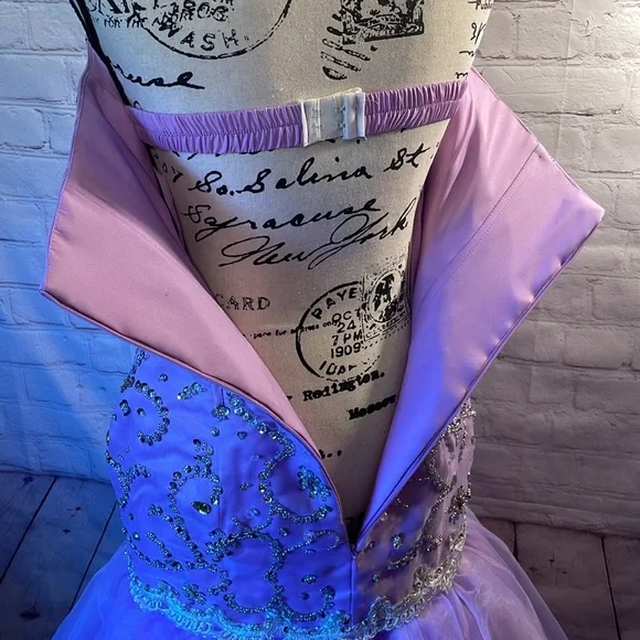 💜 Prom/Formal Gown - Picture 10 of 17